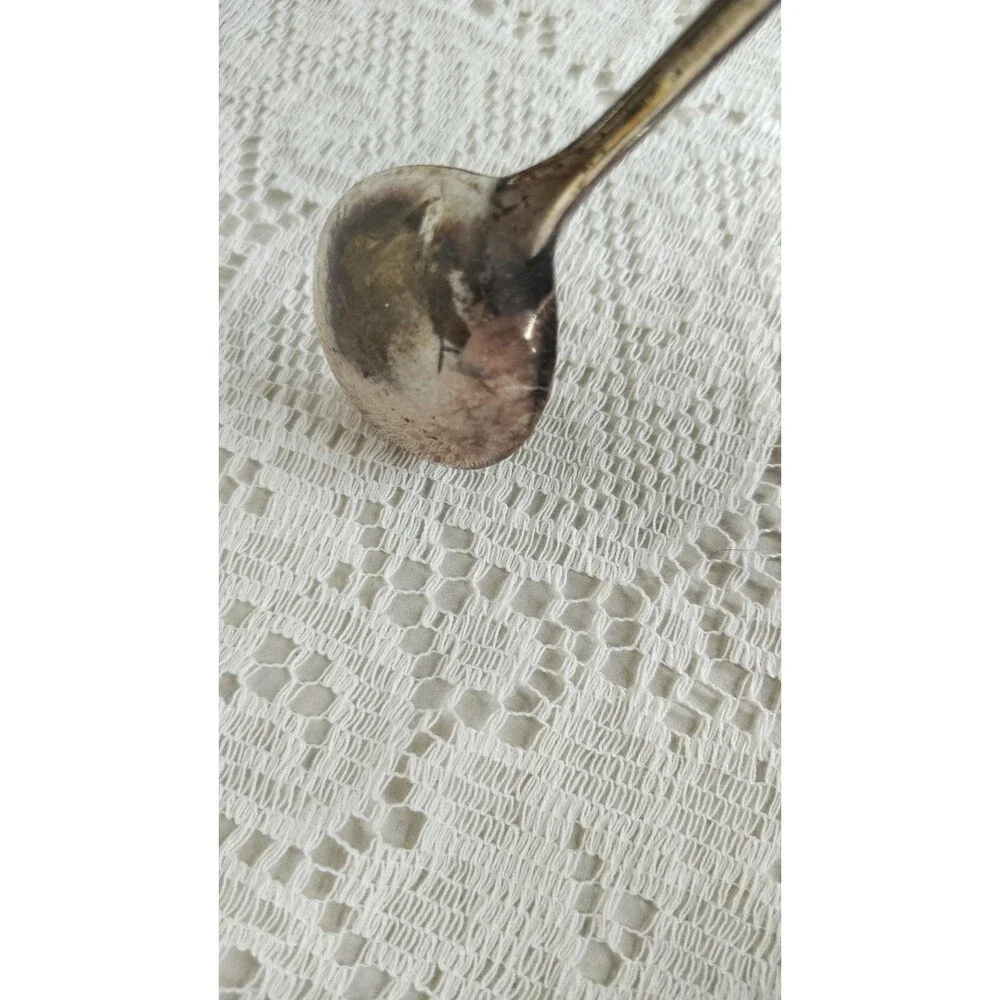 Vintage International Silver Melody 1954 Silverplate Soup Spoon Floral needs...
